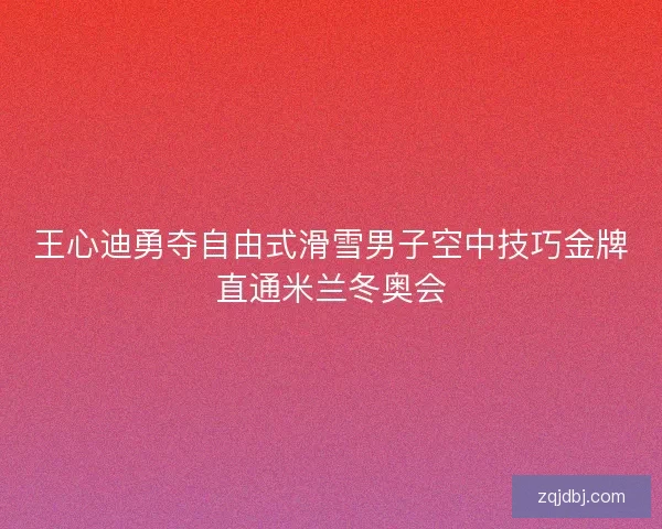 王心迪勇夺自由式滑雪男子空中技巧金牌直通米兰冬奥会